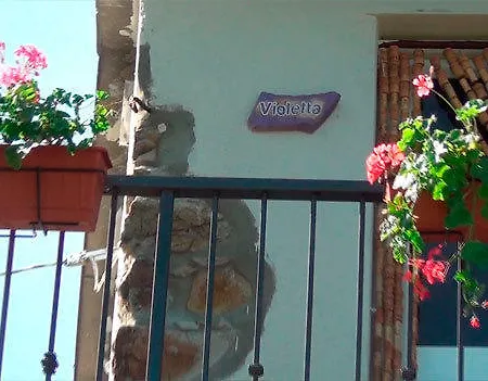 Rosadimaggio