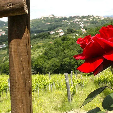 Rosadimaggio * La Spezia