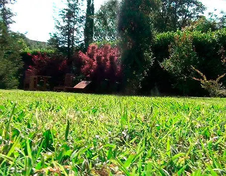 Rosadimaggio